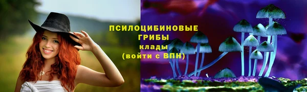 дурь Наволоки