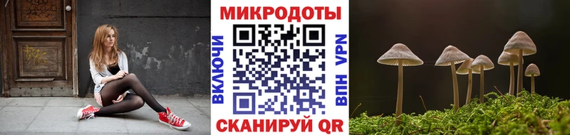 Купить закладки Реж Галлюциногенные грибы Psilocybe