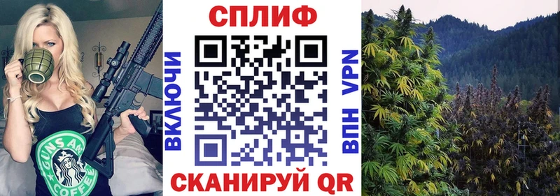 Бошки Шишки Bruce Banner  Купить  Реж 